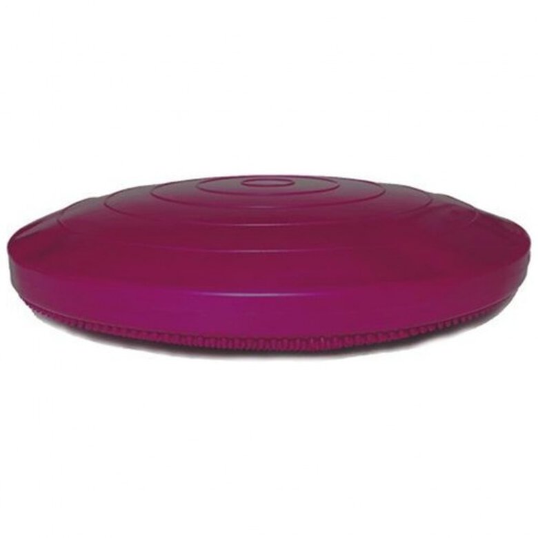 Disco de equilibrio para mascotas color Rosa, , large image number null