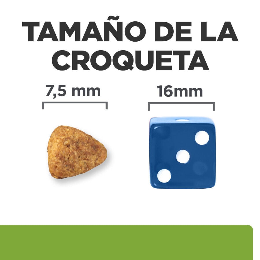 2 x 6 kg Hill's Prescription Diet Metabolic + Mobility Mini j/d pienso para perros &iexcl;Pack ahorro!, , large Imagen numero 6