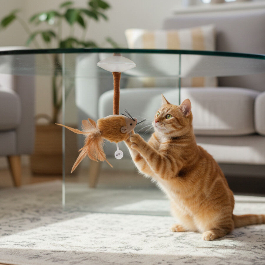 Tootoy! Juguete Interactivo Rat&oacute;n con Ventosa para gatos, , large Imagen numero 1