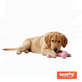 Tootoy! Hueso Mordedor de Goma Rosa para cachorros