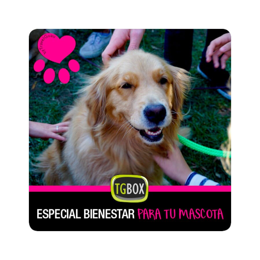 Especial bienestar para tu mascota, , large Imagen numero 1