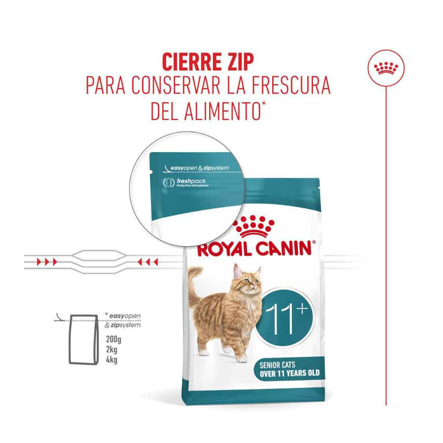 4 kg Royal Canin Ageing 11+ pienso para gatos, , large Imagen numero 7