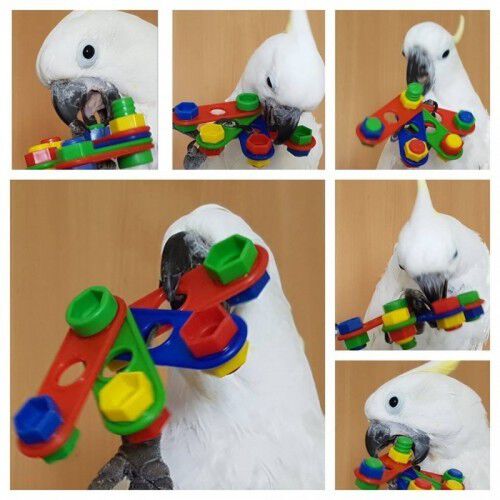 Juguete abanico de tornillos para loros color Varios, , large Imagen numero 2
