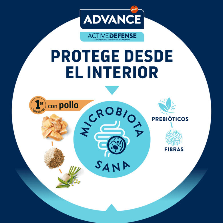 Advance Junior Sterilized pienso para gatos thumbnail