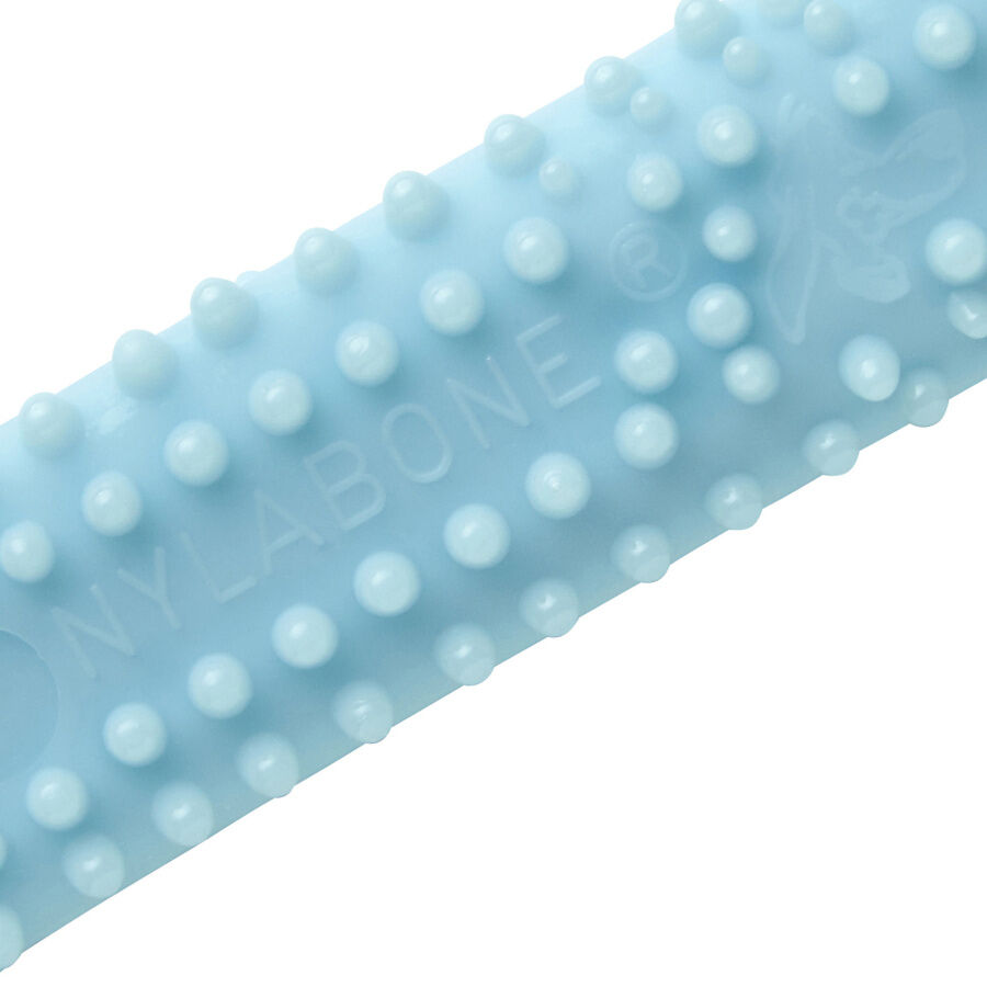 Nylabone Hueso Mordedor Dental Sabor a Pollo para cachorros thumbnail