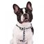 Zooz arn&eacute;s snoopy blanco para perros, , large indicador imagen numero 1