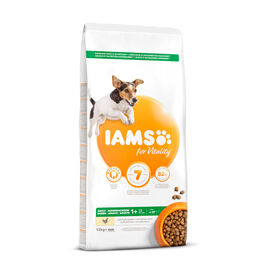 IAMS for Vitality Adult Mini&Medium Proactive Pollo pienso para perros
