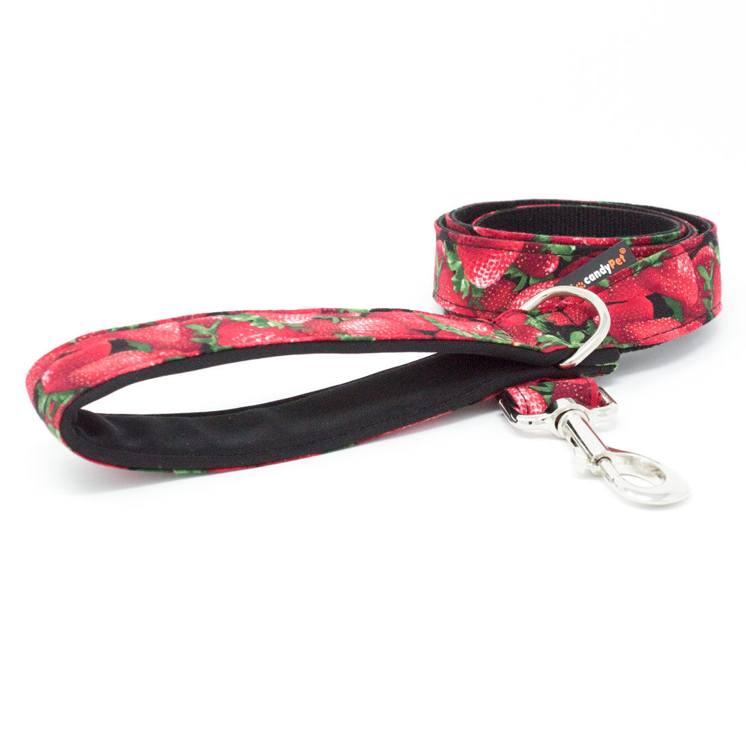 candyPet&reg; Correa para Perros - 120 cm con Asa acolchada - Modelo Fresas, , large Imagen numero 1