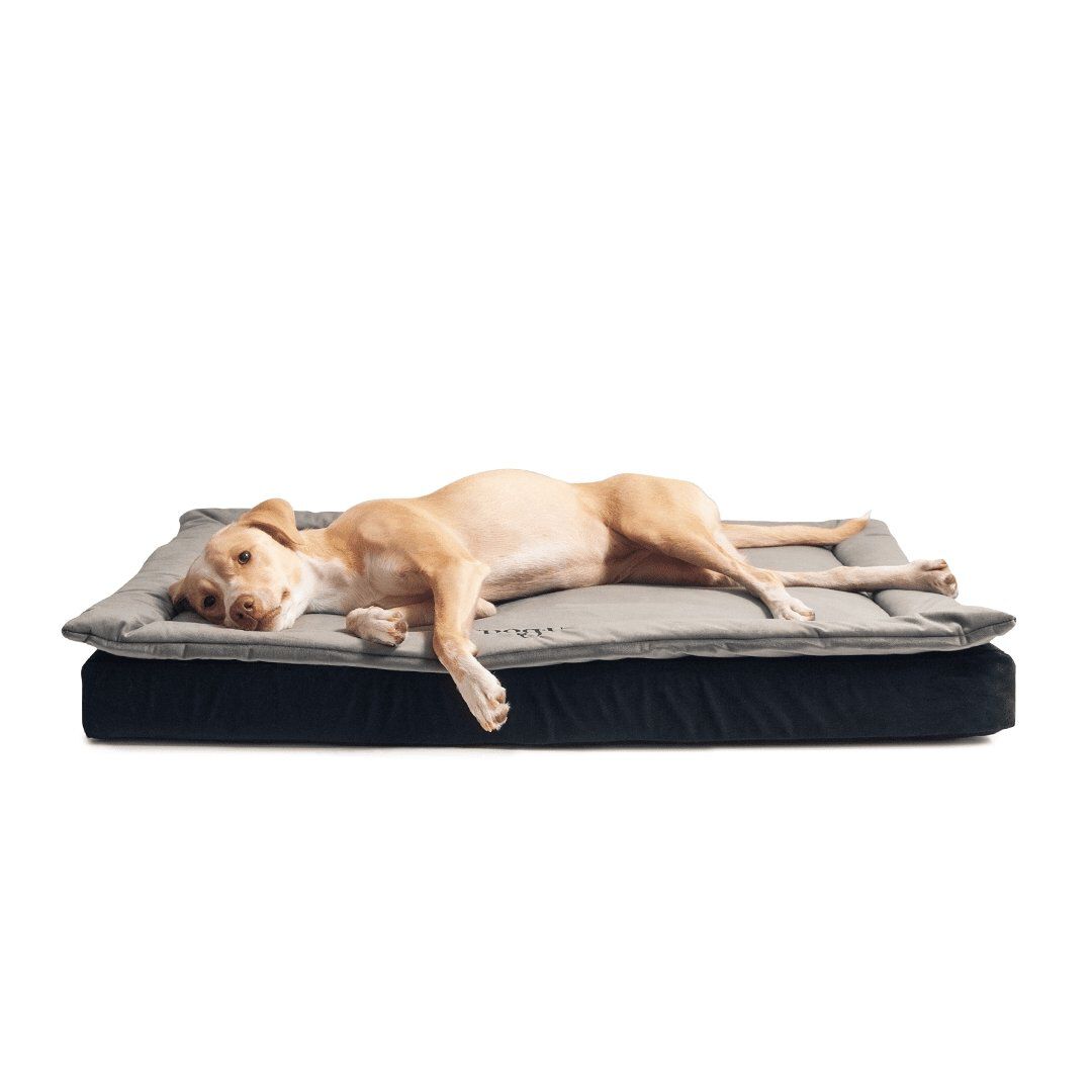 Tiendanimal online cama perro