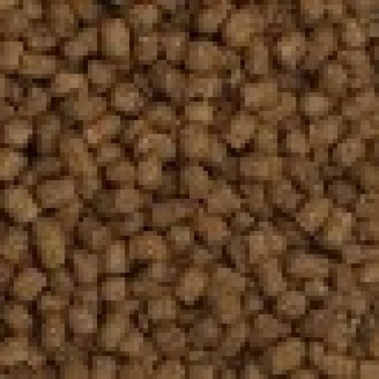 Alimento Fluval Bug Bites en gránulos para peces cíclidos, , large image number null