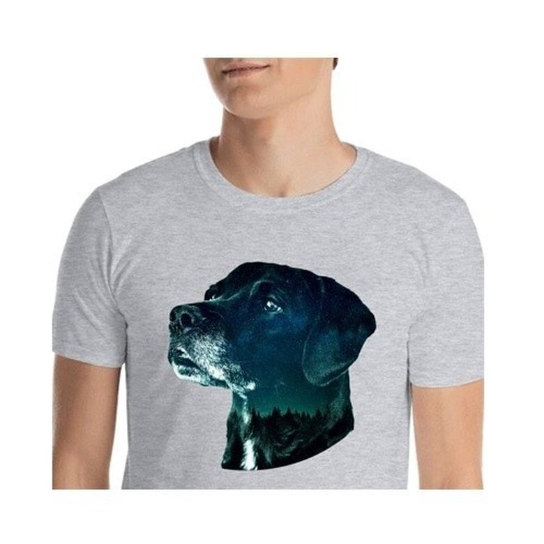 Mascochula camiseta hombre noche estrellada personalizada con tu mascota gris , , large image number null