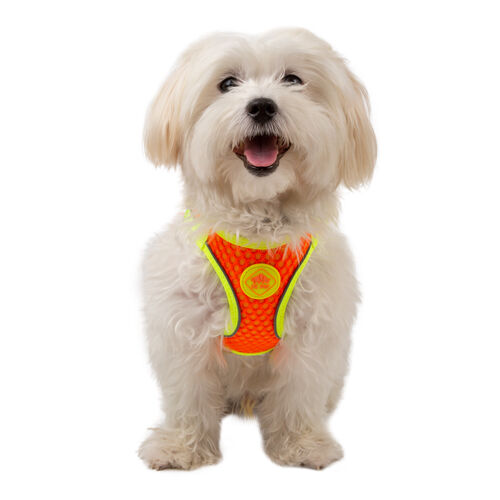 TK-Pet Easy Click alta visibilidad naranja arn&eacute;s Imagen numero 1