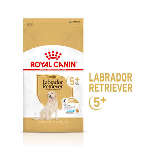 Royal Canin Adult 5+ Labrador pienso para perros