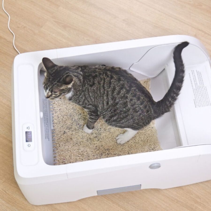 Orbitaler Yupiter AstroClean 5500 Arenero Autolimpiable para gatos, , large Imagen numero 5