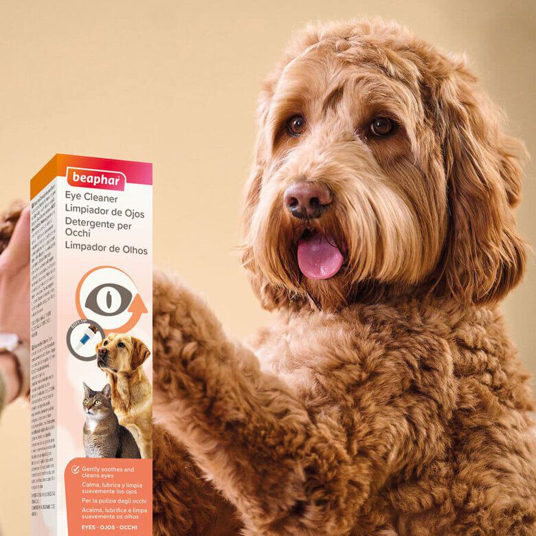 Beaphar Limpiador de Ojos para perros y gatos Imagen numero 9