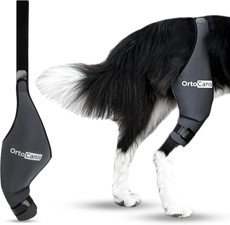 Ortocanis Protector de rodilla Izquierda para perros thumbnail