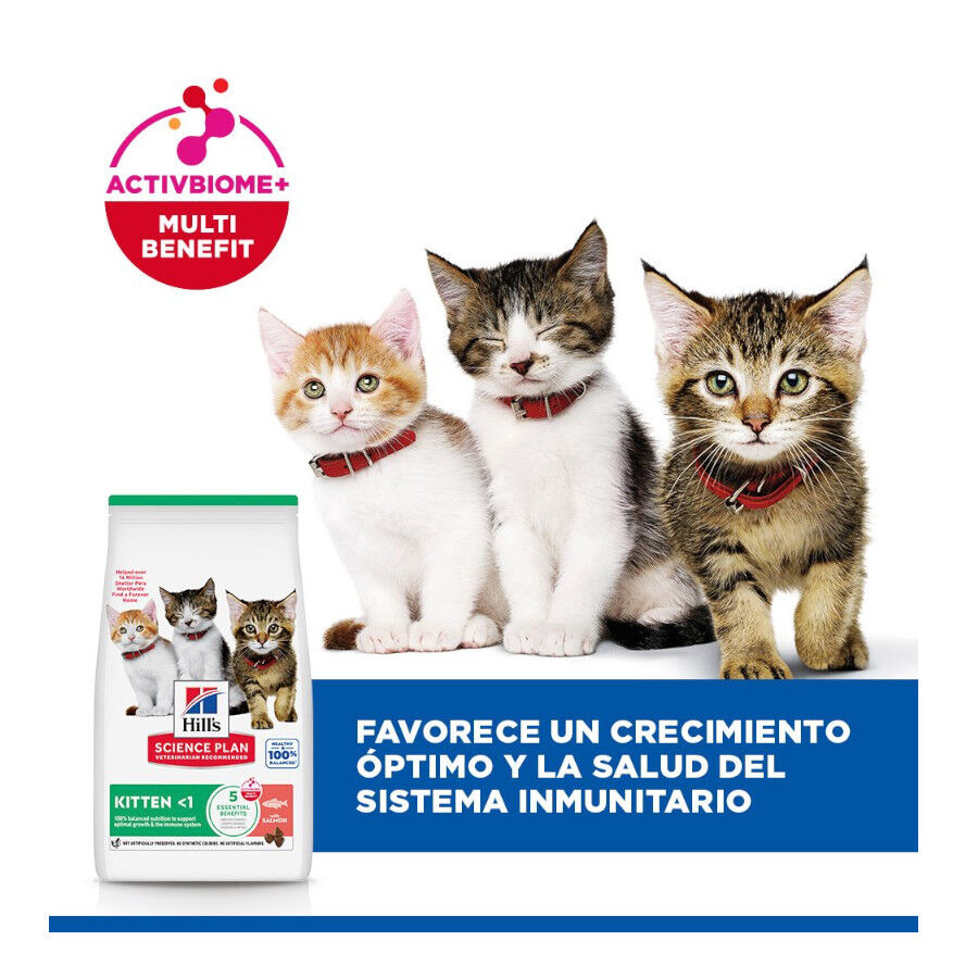 1.5 kg Hill's Science Plan Pienso Salm&oacute;n para gatitos, , large Imagen numero 9