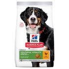 Hill's Science Plan Youthful vitality Large pienso para perros, , large image number null