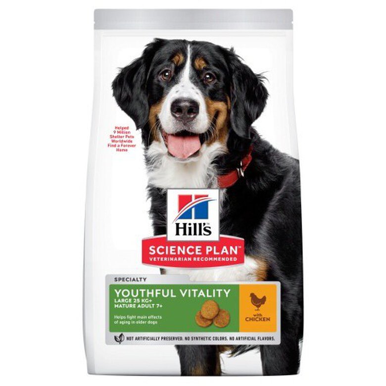 Hill's Science Plan Youthful vitality Large pienso para perros, , large image number null