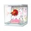 Kit betera Marina Betta para peces, colores Varios, , large indicador imagen numero 2