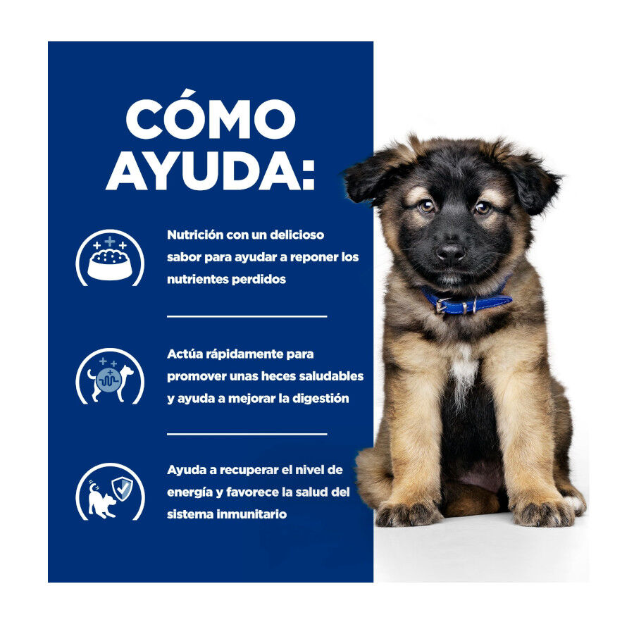 360 g Hill's Prescription Diet i/d Digestive Care Puppy Lata Pollo para perros, , large Imagen numero 4