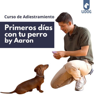 UDog Curso Primeros días con tu cachorro para perros