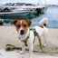 ORION - Arnés Ajustable H para perros Tail and Tropic, , large indicador imagen numero 4
