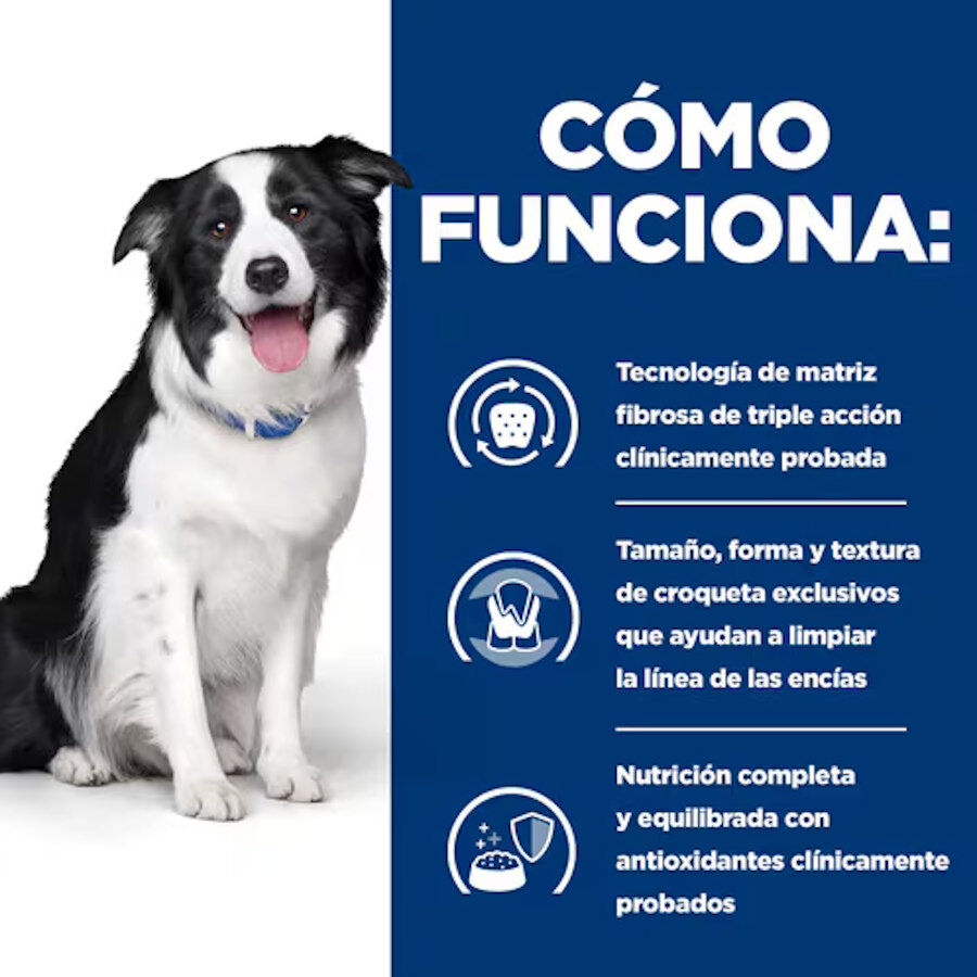 10 kg Hill's Prescription Diet t/d Dental Care Pollo pienso para perros medianos, , large Imagen numero 5