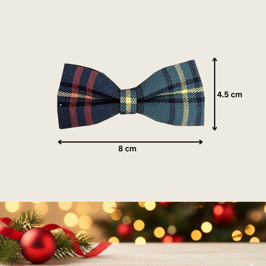 Wonder Christmas Pajarita Navide&ntilde;a Azul para perros, , large Imagen numero 4