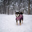 Non-stop Dogwear Chaqueta Malva para perros, , large indicador imagen numero 2