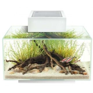 Acuario con led Fluval Edge 2.0 color Blanco