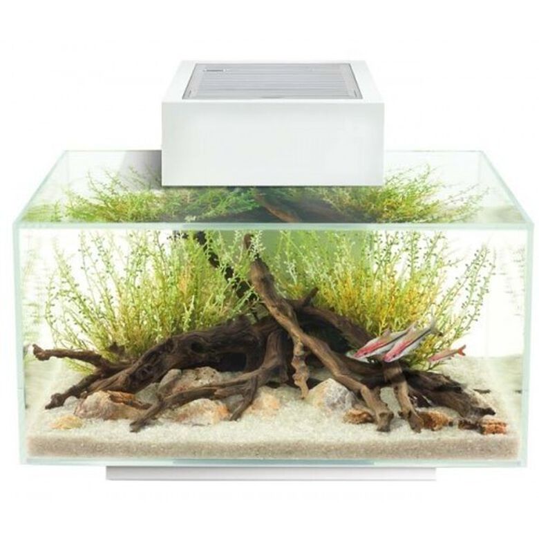 Acuario con led Fluval Edge 2.0 color Blanco