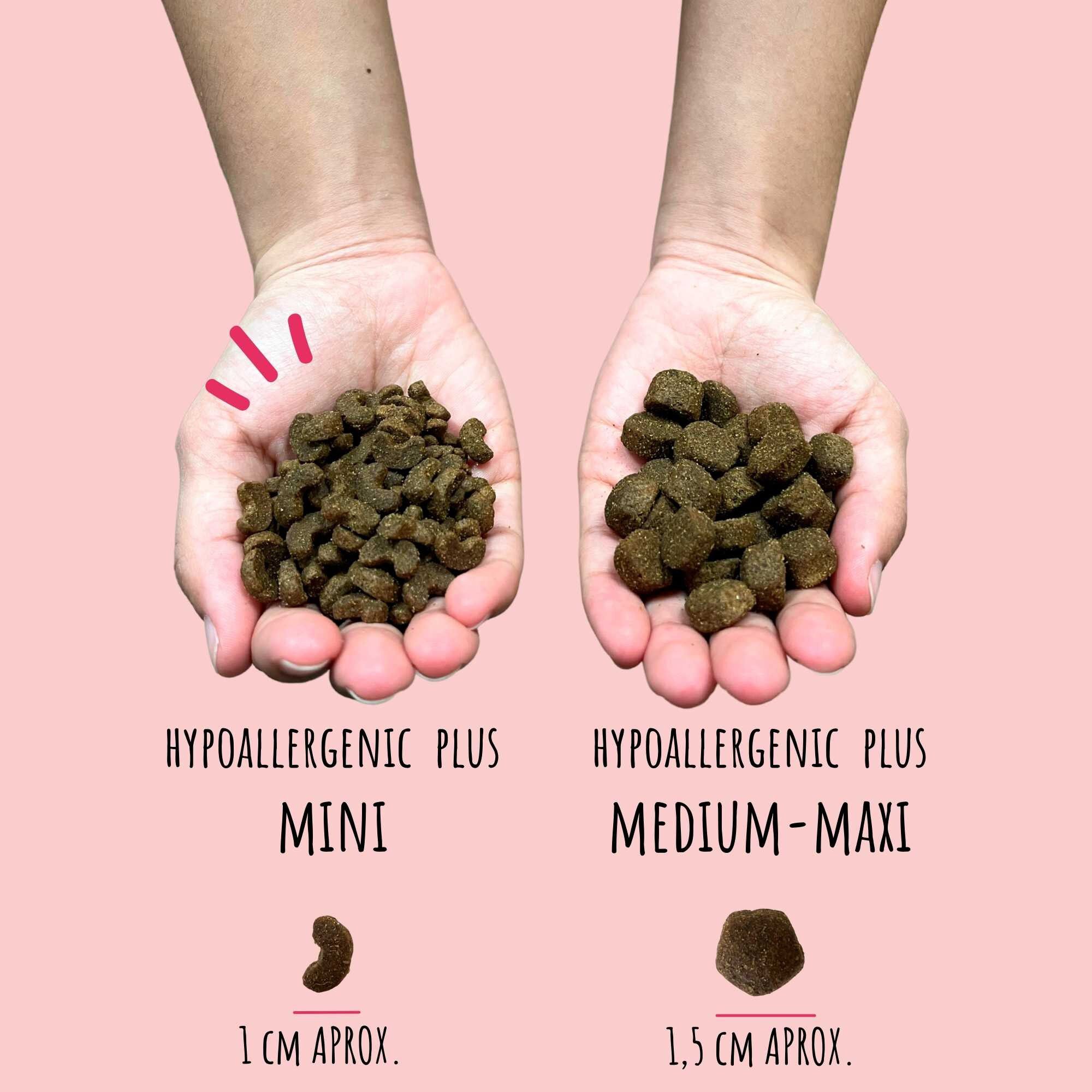 Alimento Mini Hypoallergenic Plus Grain Free Barakaldo Vet Shop para perros adultos de tama&ntilde;o mini., , large Imagen numero 2