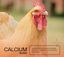 Calcio para gallinas | Suplemento alimenticio para la Puesta de Las gallinas, prevención del picaje y fortalecimiento de Sus Huesos | Botella de 1 L, , large indicador imagen numero 4