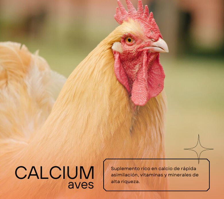 Finca Casarejo Calcio para Gallinas thumbnail