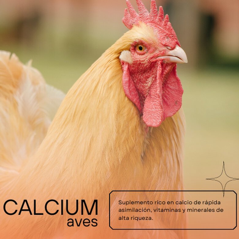 Calcio para gallinas | Suplemento alimenticio para la Puesta de Las gallinas, prevención del picaje y fortalecimiento de Sus Huesos | Botella de 1 L, , large image number null