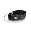 Collar Pamppy Galgo Speedy Evan para perros, , large indicador imagen numero 1