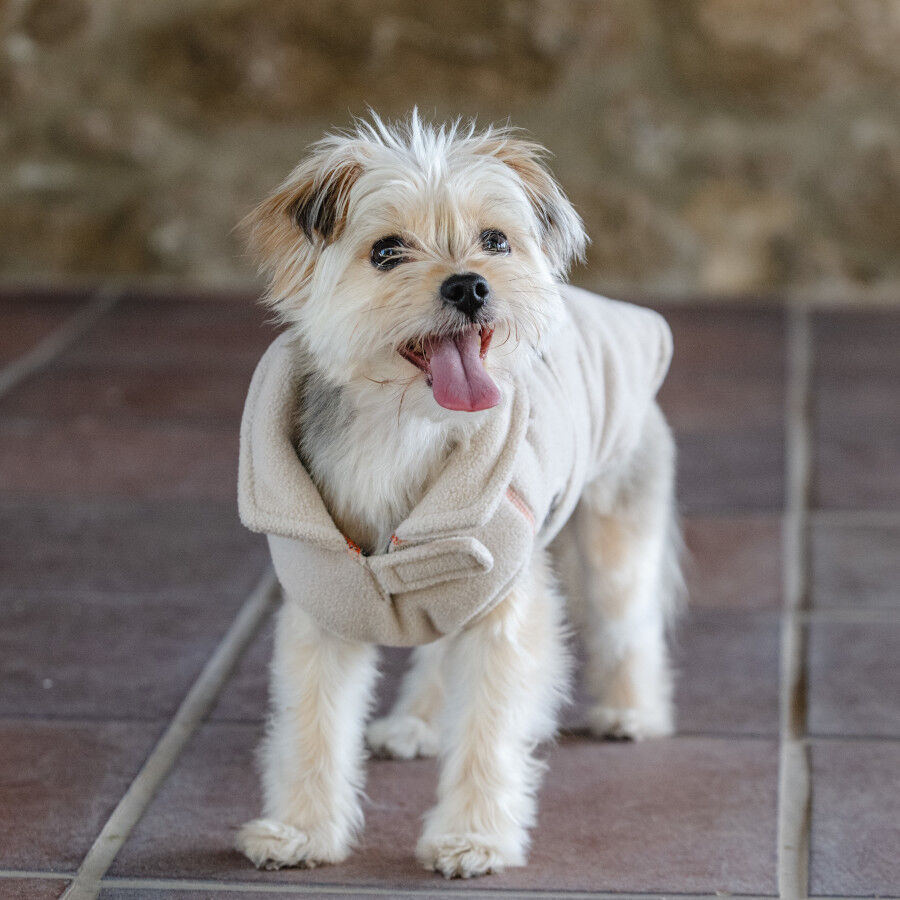 Freedog Polar Snowpuff Beige para perros, , large Imagen numero 5