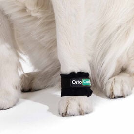 Pesas para fortalecimiento muscular en perros