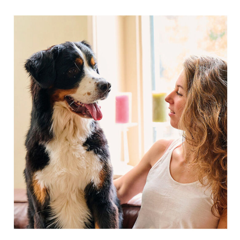 Beaphar Spray Aliento Fresco Perros y Gatos thumbnail