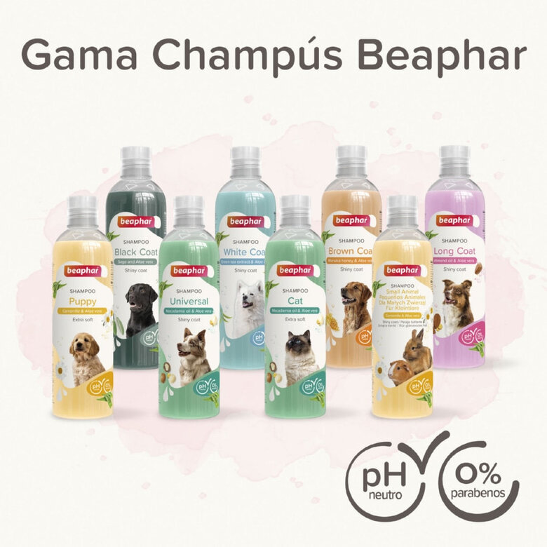 Beaphar Pelo Blanco Champú para perros, , large image number null