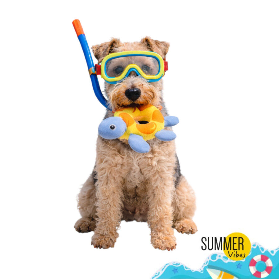 Summer Vibes Peluche Flotante Tortuga Juguete para perros, , large Imagen numero 7