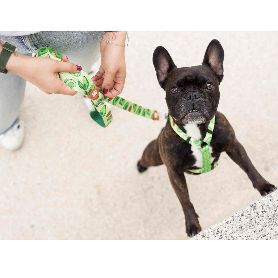 Dukier Arn&eacute;s Cl&aacute;sico Estampado Aguacate para perros, , large Imagen numero 3