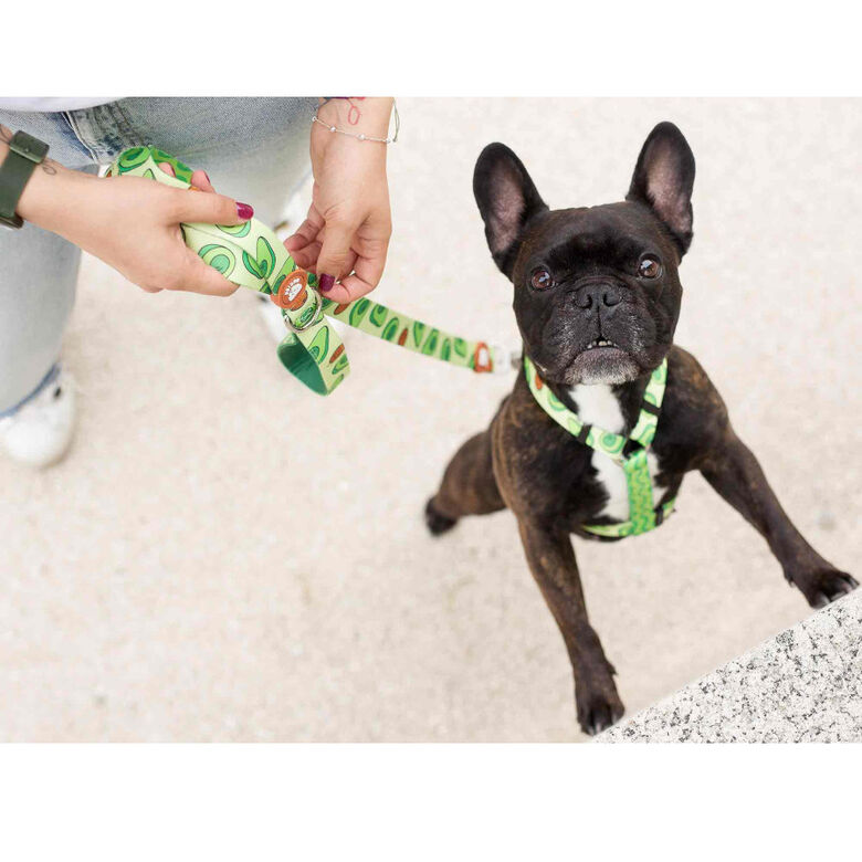 Dukier Arnés Clásico Estampado Aguacate para perros thumbnail