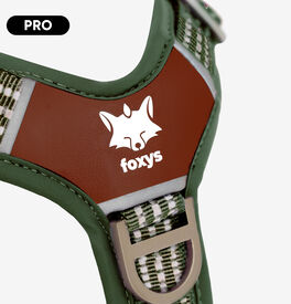 Foxys Arn&eacute;s Matcha Verde para perros