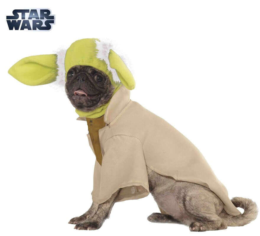 Disfraz Yoda de Star Wars para perro, , large Imagen numero 2