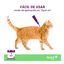 Vectra Felis Pipetas Antiparasitarias para gatos - Pack 3, , large indicador imagen numero 6
