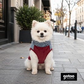 Gotoo Jersey Polar Azul para perros