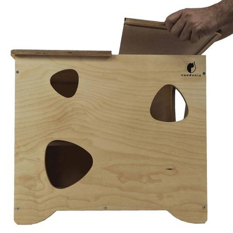 Caja de juegos para gatos Atrápame si puedes color Marrón, , large image number null