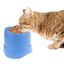 Cuenco elevado para perros y gatos 14 cm, , large indicador imagen numero 5